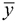 y-line